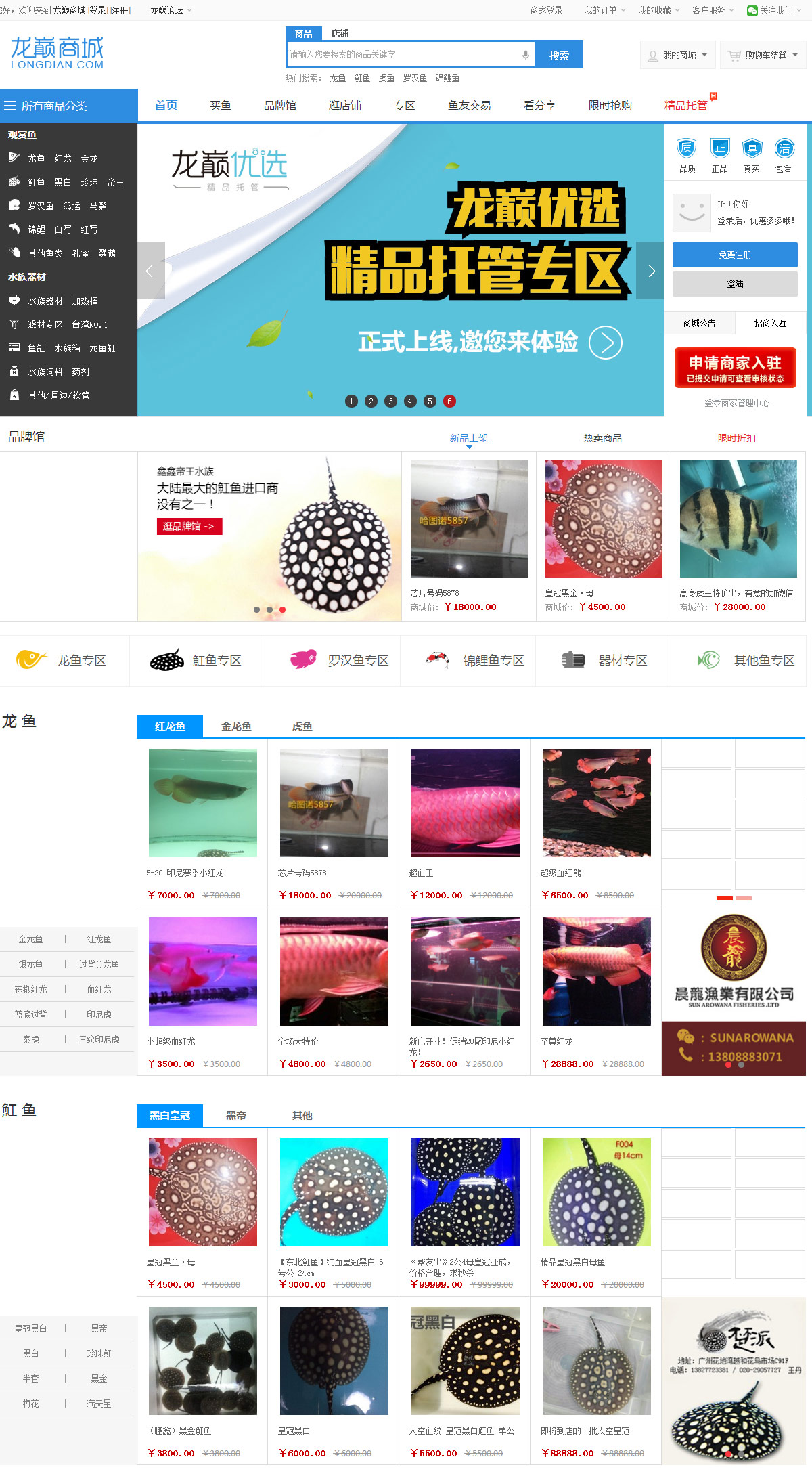  龙巅商城网站案例